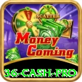 36 Cash Pro