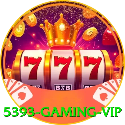 5393 Gaming VIP - pak